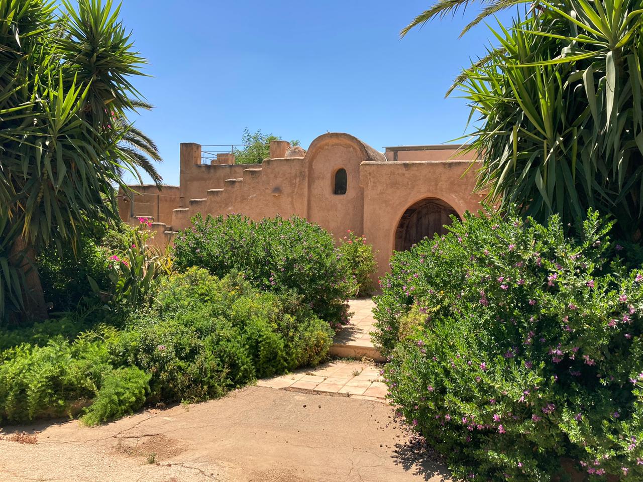 Garden path leading to a warm earth-toned residence framed by palms and dense planting